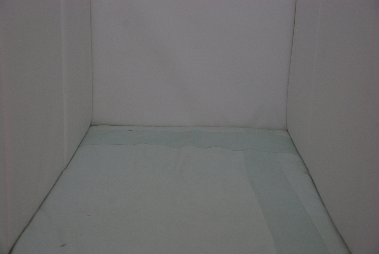 ../image/imgp7694.jpg