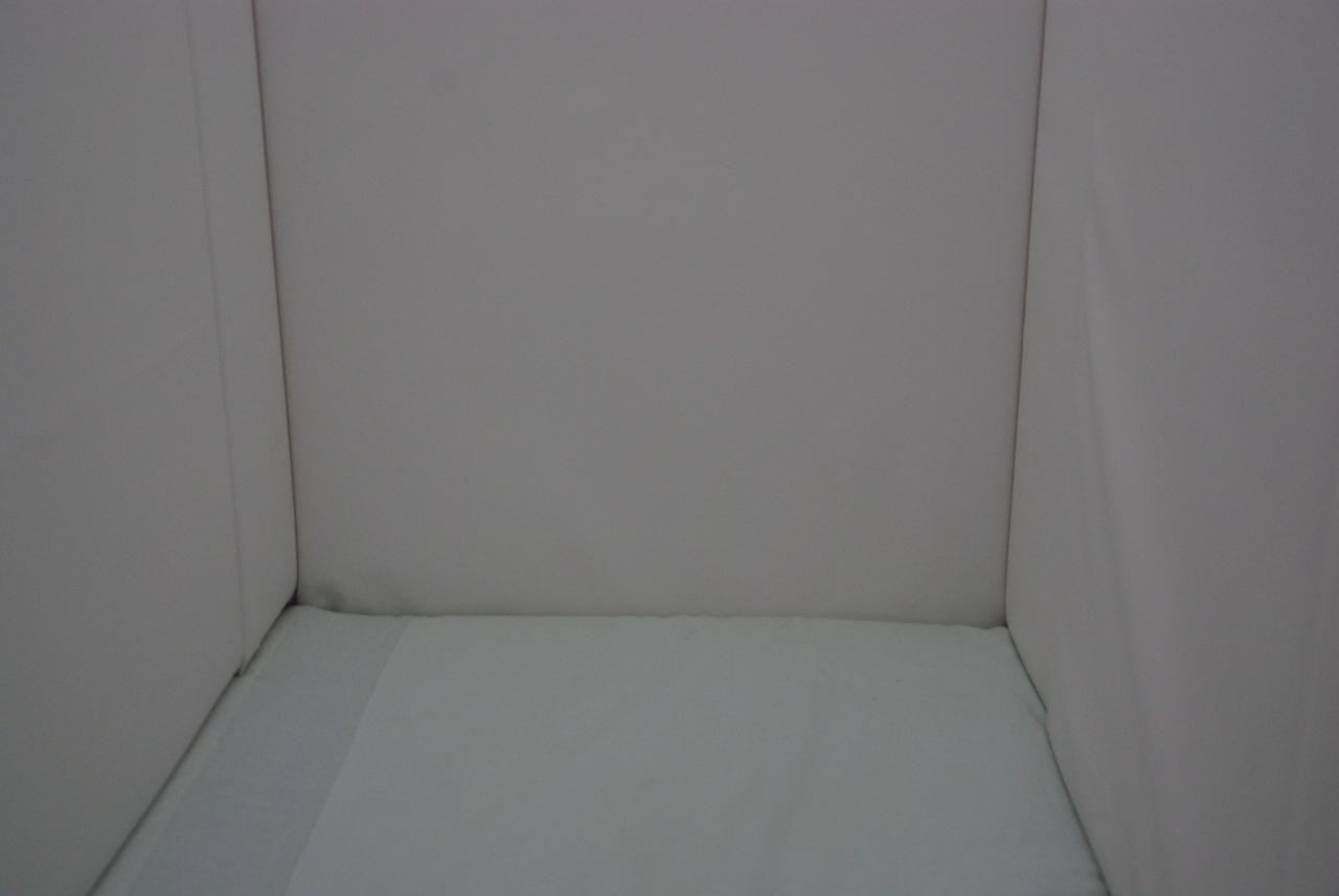../image/imgp7698.jpg