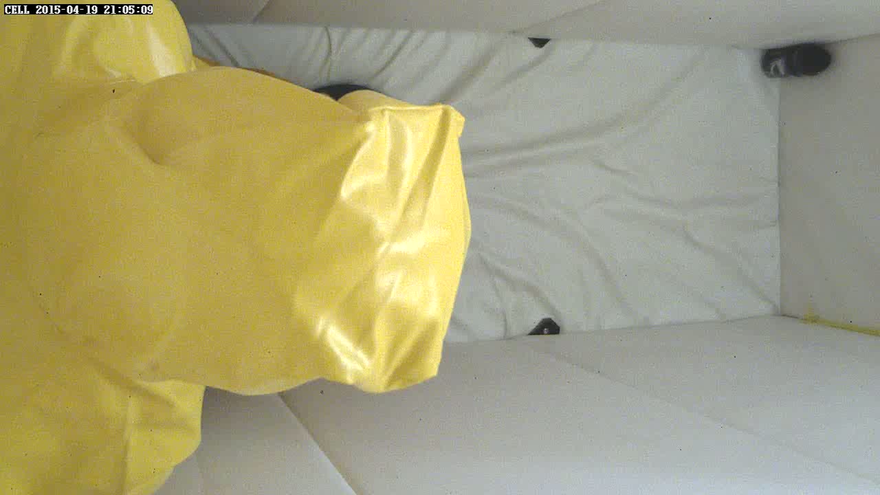 ../image/cellcam_150419_210509.jpg